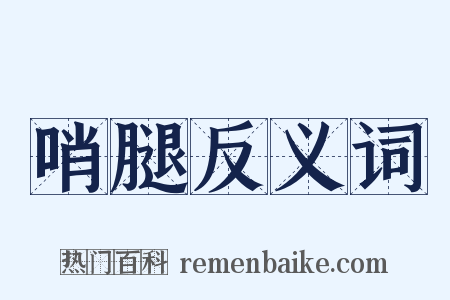 哨腿反义词是什么意思的图片